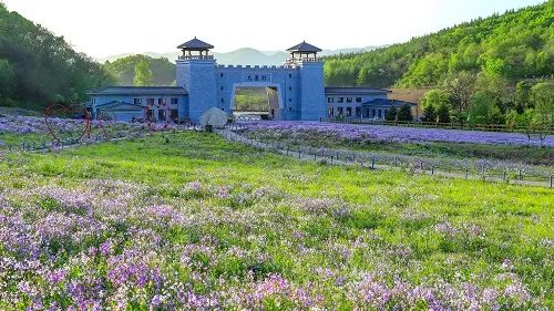 喜報(bào)！鳳城市大梨樹(shù)村再獲四項(xiàng)“國(guó)字號(hào)”榮譽(yù)